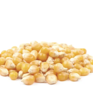 MAÍZ ROSETERO (PALOMITAS)