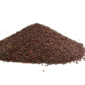 MOSTAZA NEGRA GRANO
