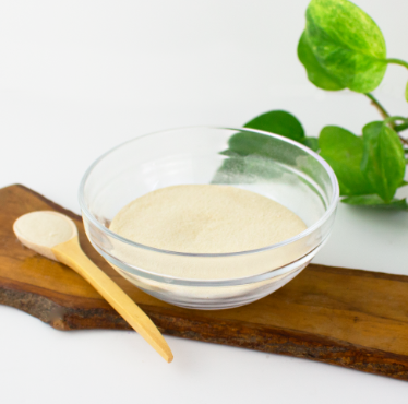AGAR AGAR - Imagen 2
